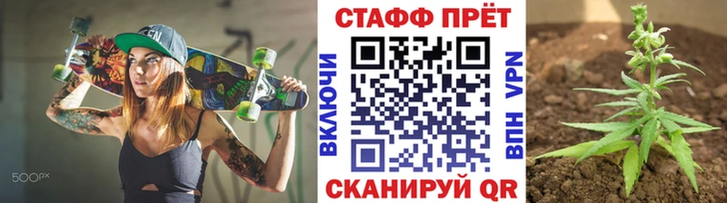 Что такое Оса Кокаин ГАШИШ Псилоцибиновые грибы Каннабис Амфетамин