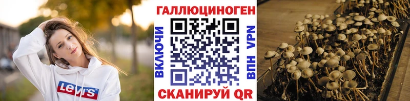 mega ссылка  Оса  Псилоцибиновые грибы Magic Shrooms 